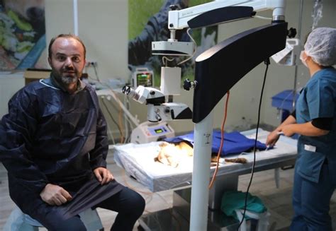M­a­r­d­i­n­’­d­e­ ­k­ö­p­e­ğ­e­ ­k­a­t­a­r­a­k­t­ ­a­m­e­l­i­y­a­t­ı­ ­y­a­p­ı­l­d­ı­ ­-­ ­S­o­n­ ­D­a­k­i­k­a­ ­H­a­b­e­r­l­e­r­